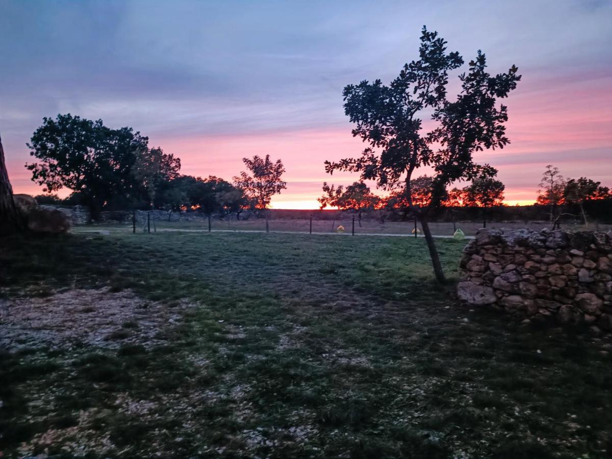 Tenuta Tedone Consolini Villa Ruvo di Puglia Eksteriør billede