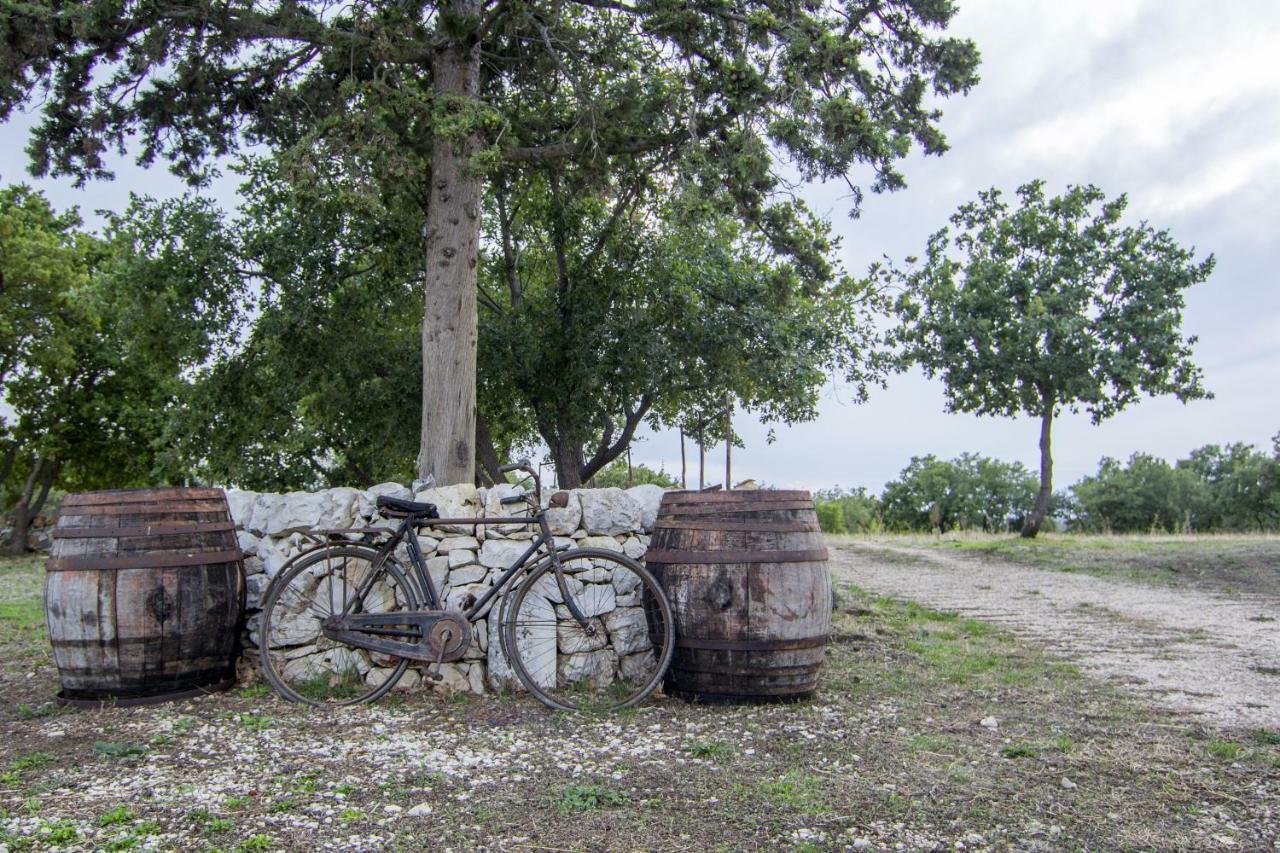 Tenuta Tedone Consolini Villa Ruvo di Puglia Eksteriør billede