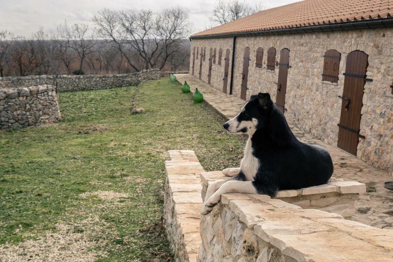 Tenuta Tedone Consolini Villa Ruvo di Puglia Eksteriør billede