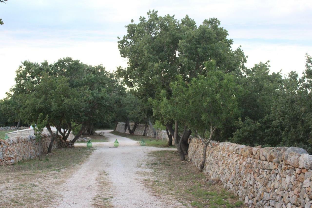 Tenuta Tedone Consolini Villa Ruvo di Puglia Eksteriør billede